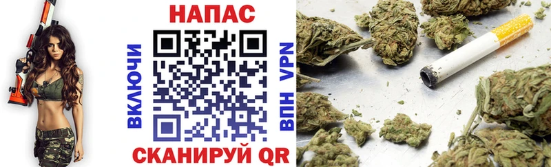 Где купить наркотики Курчалой Каннабис  COCAIN  ГАШ  Мефедрон 