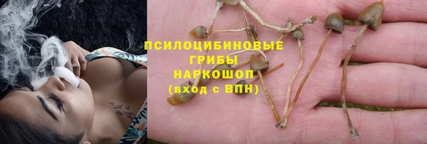СК Костерёво
