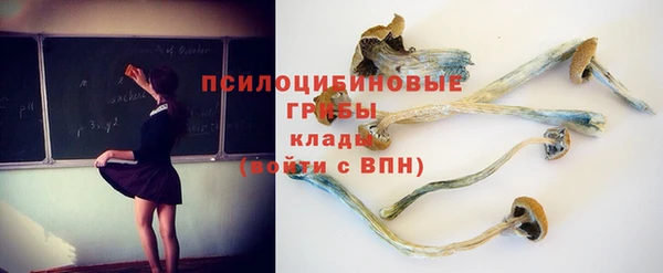 гашик Красноперекопск